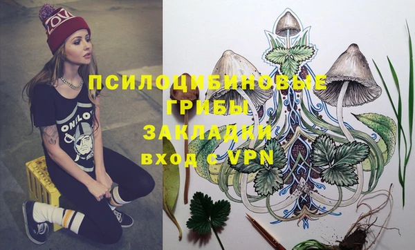 СК Пересвет