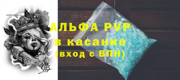 СК Пересвет
