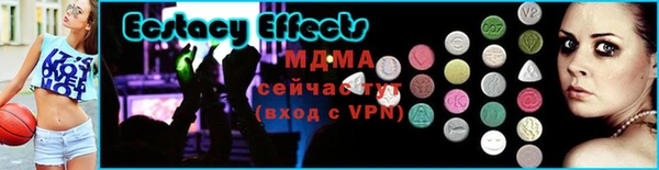 СК Пересвет